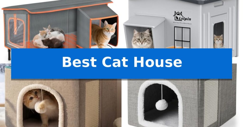 Best Cat House