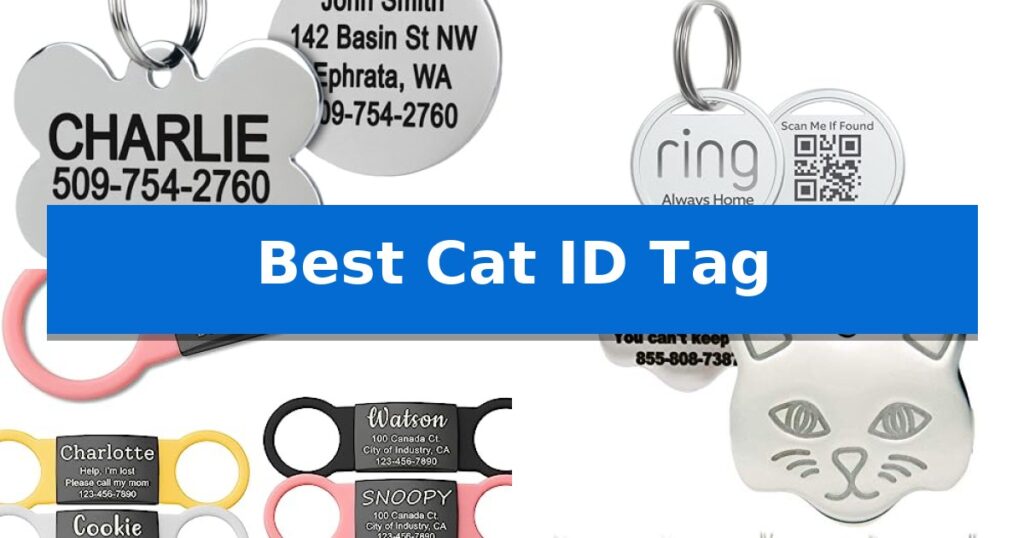 Best Cat ID Tag