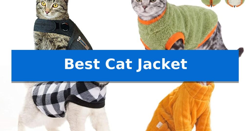 Best Cat Jacket