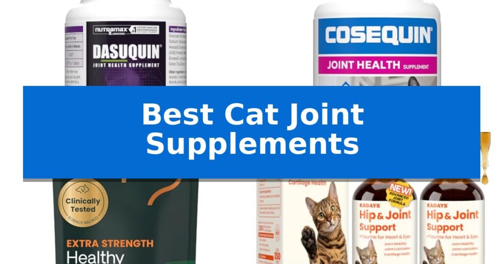 Best Cat Joint Supplements