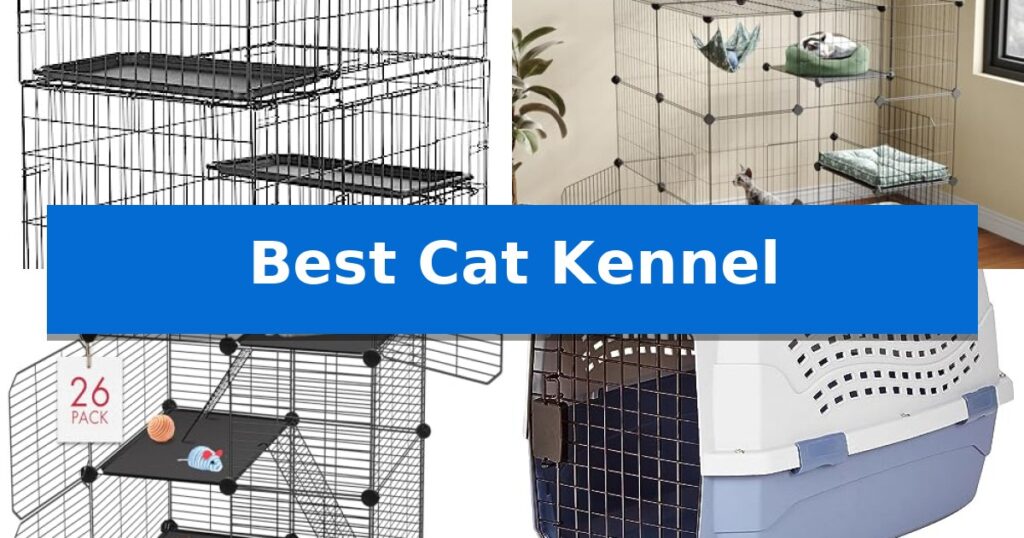 Best Cat Kennel