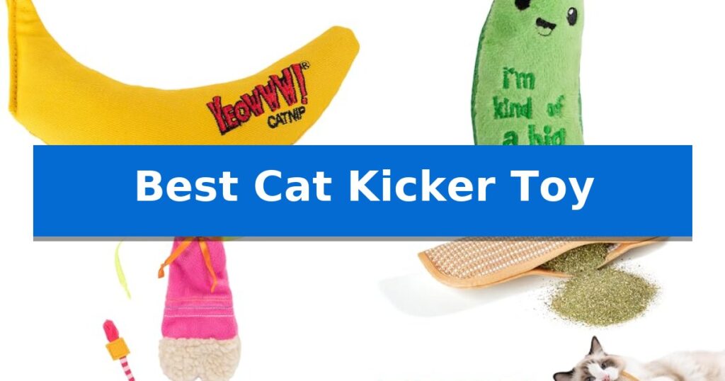 Best Cat Kicker Toy