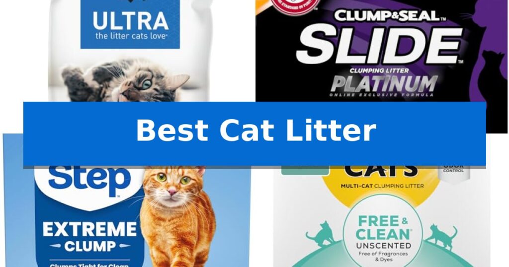 Best Cat Litter