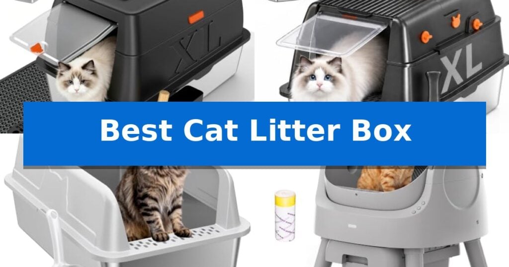 Best Cat Litter Box