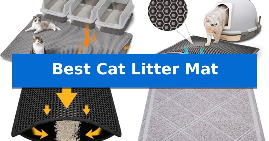 Best Cat Litter Mat