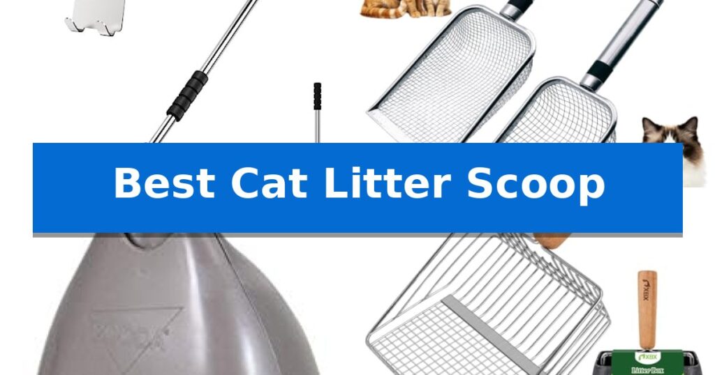 Best Cat Litter Scoop