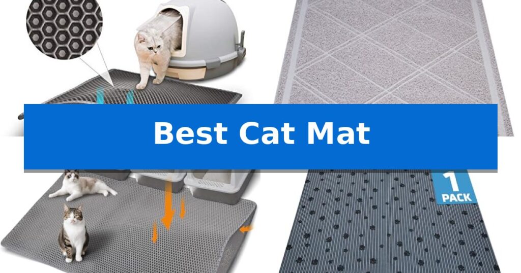 Best Cat Mat
