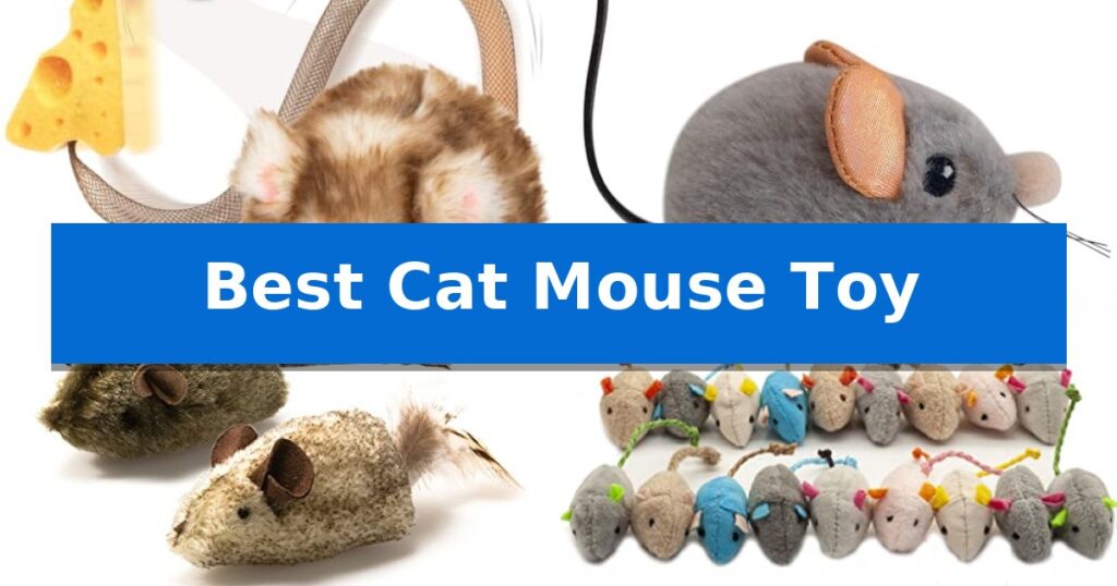 Best Cat Mouse Toy
