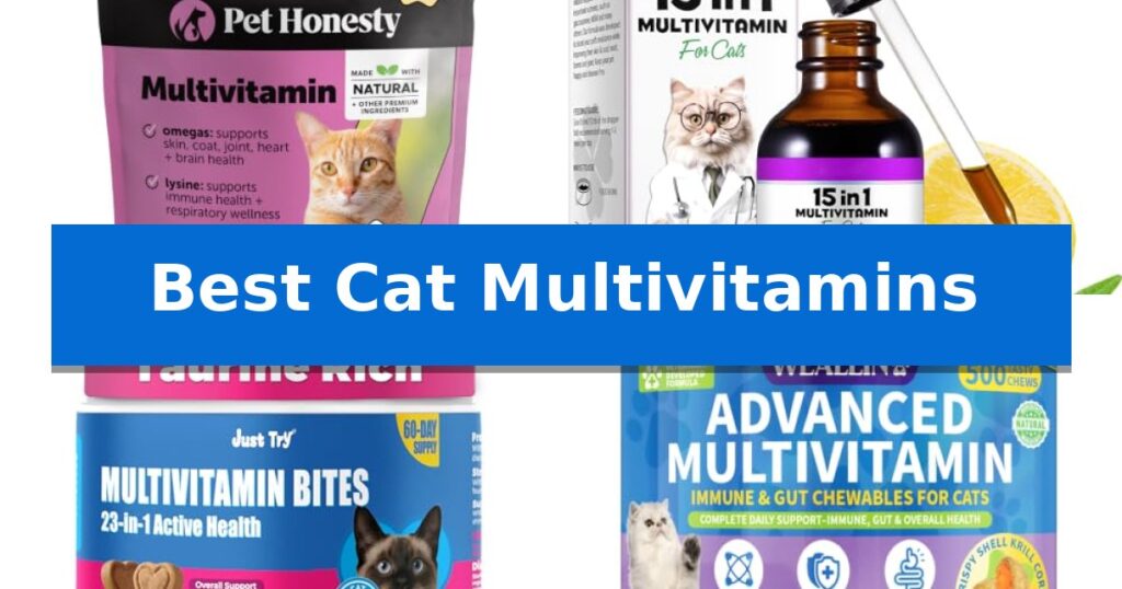 Best Cat Multivitamins