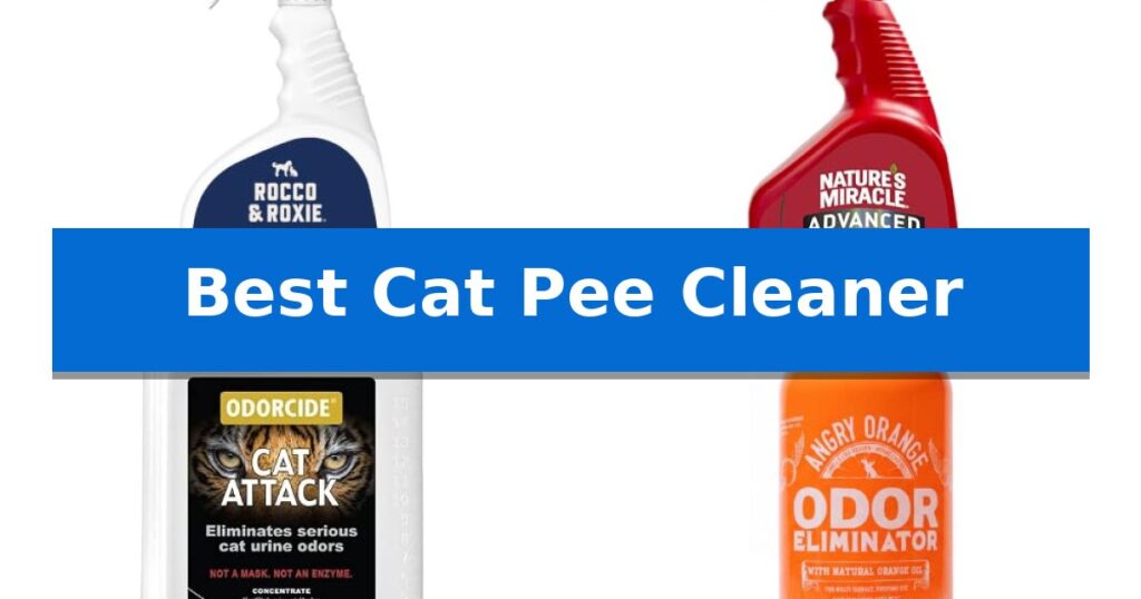Best Cat Pee Cleaner