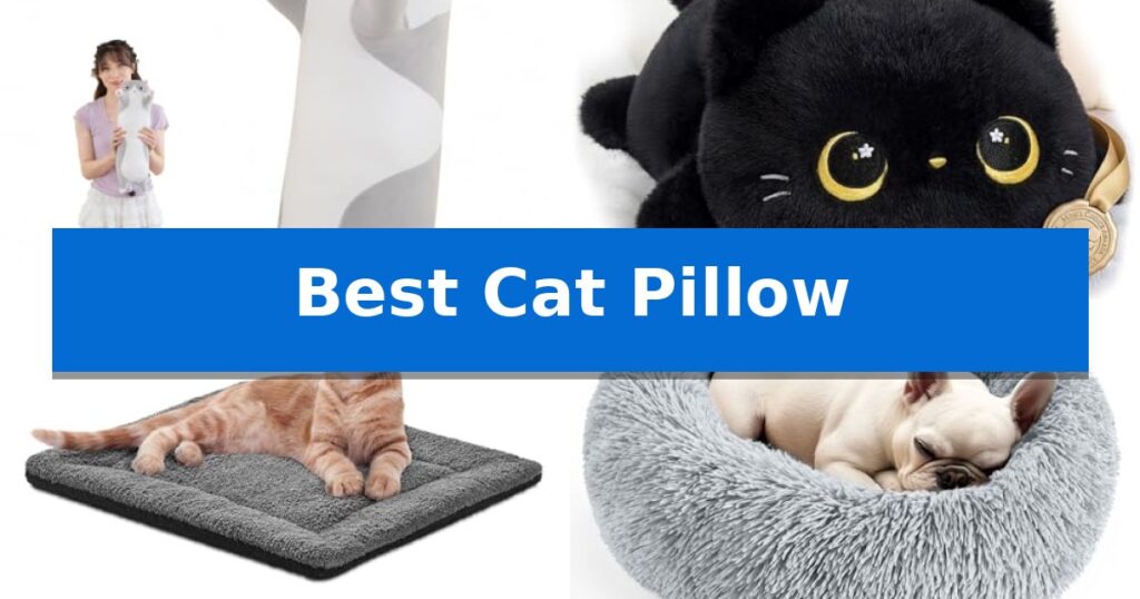 Best Cat Pillow