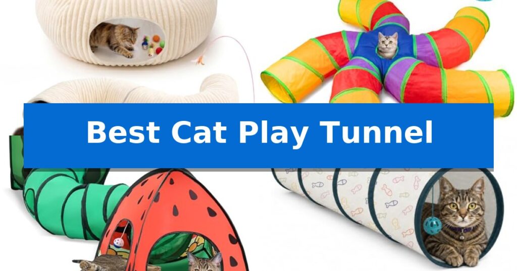Best Cat Play Tunnel
