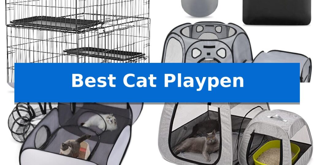 Best Cat Playpen