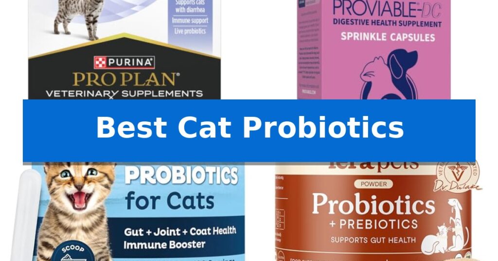 Best Cat Probiotics