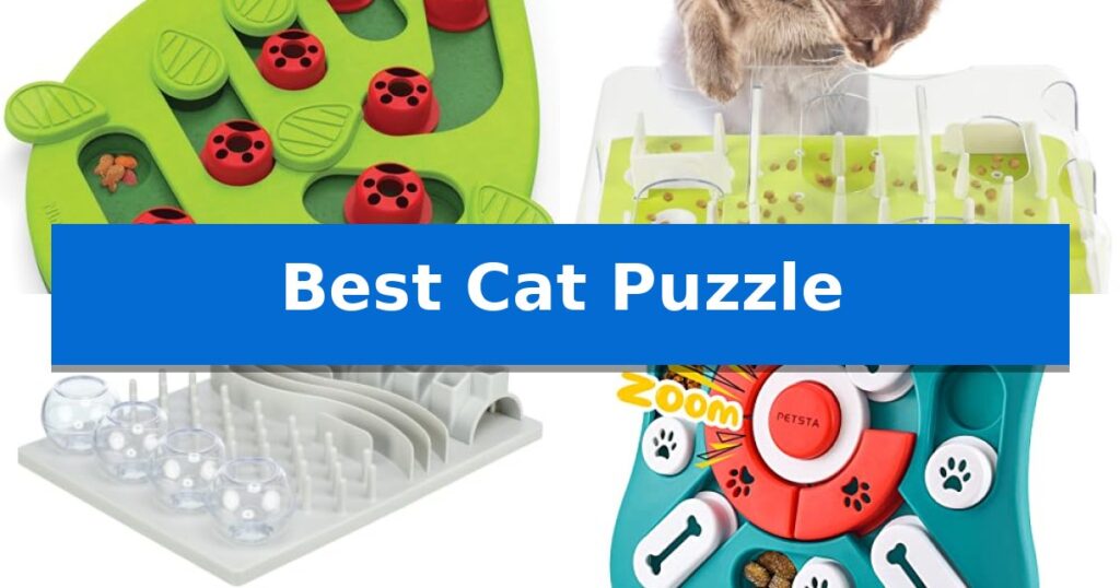 Best Cat Puzzle