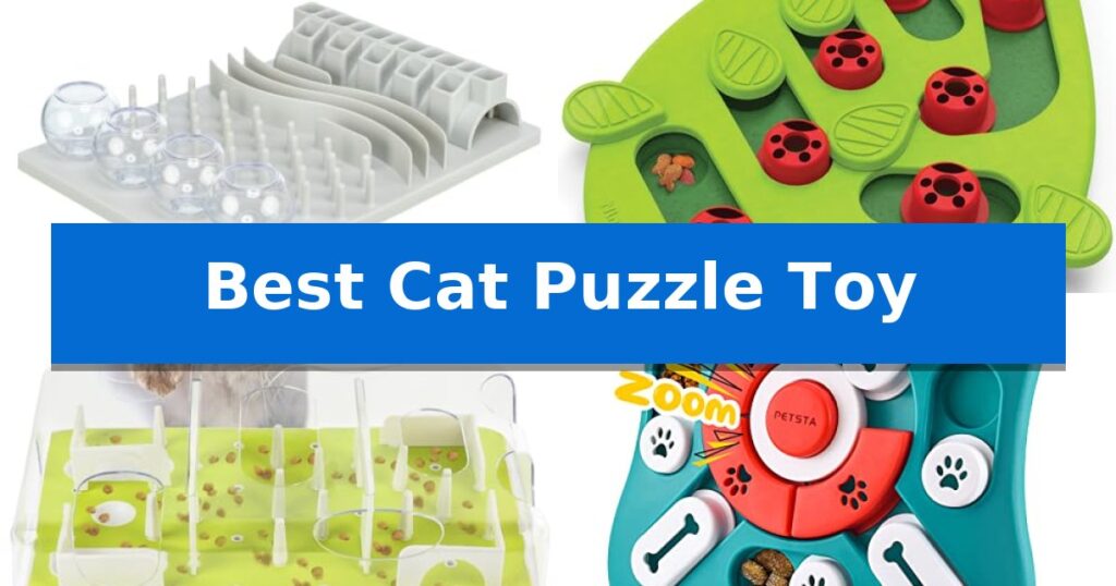 Best Cat Puzzle Toy