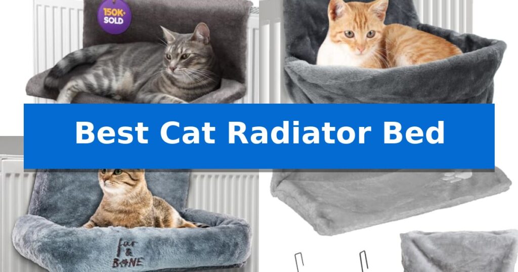 Best Cat Radiator Bed