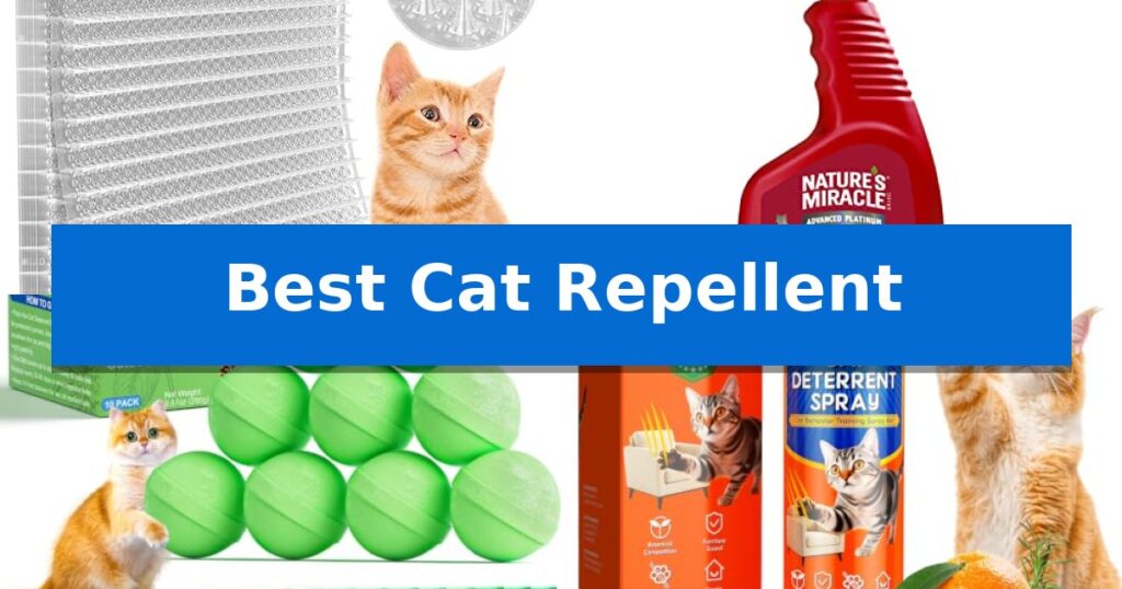 Best Cat Repellent