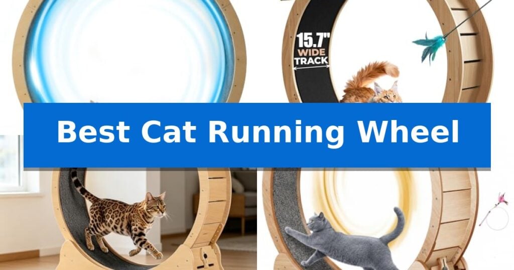 Best Cat Running Wheel