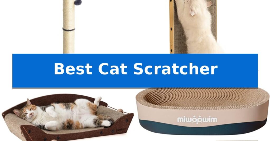 Best Cat Scratcher