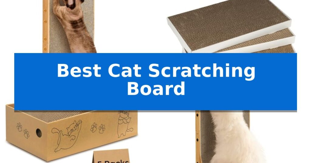 Best Cat Scratching Board