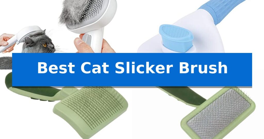 Best Cat Slicker Brush