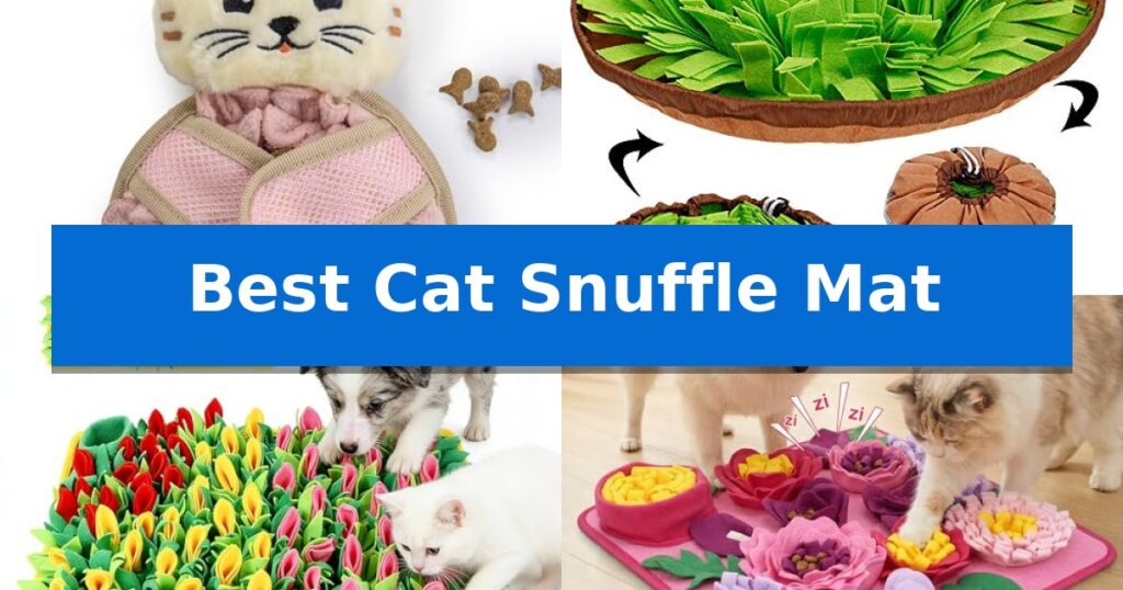 Best Cat Snuffle Mat