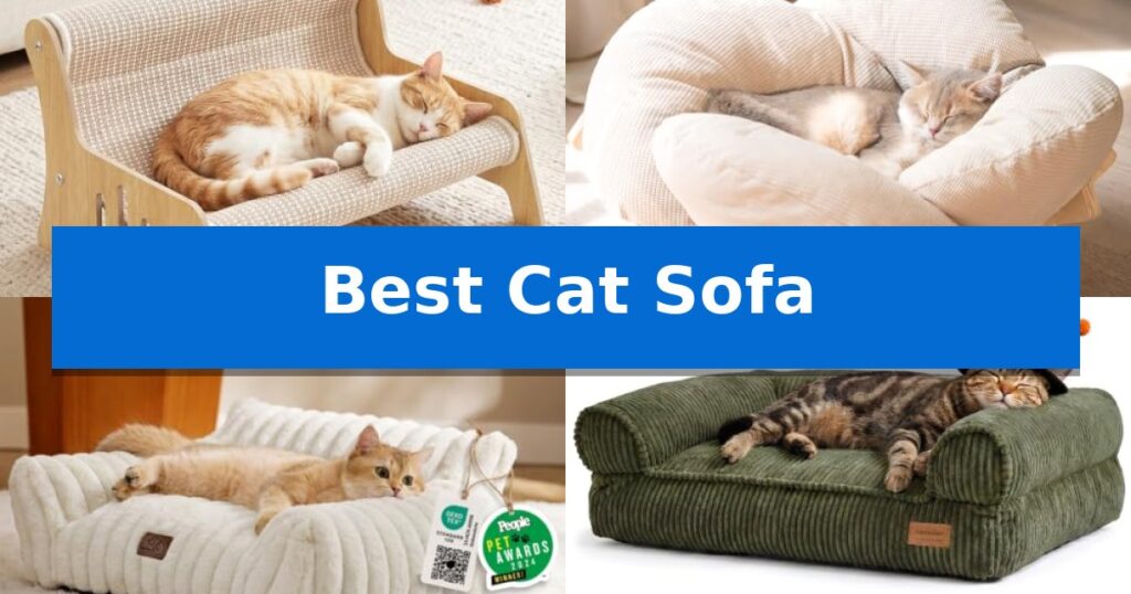 Best Cat Sofa
