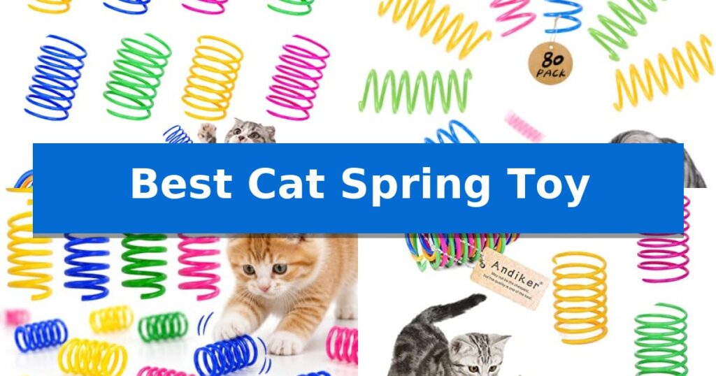 Best Cat Spring Toy