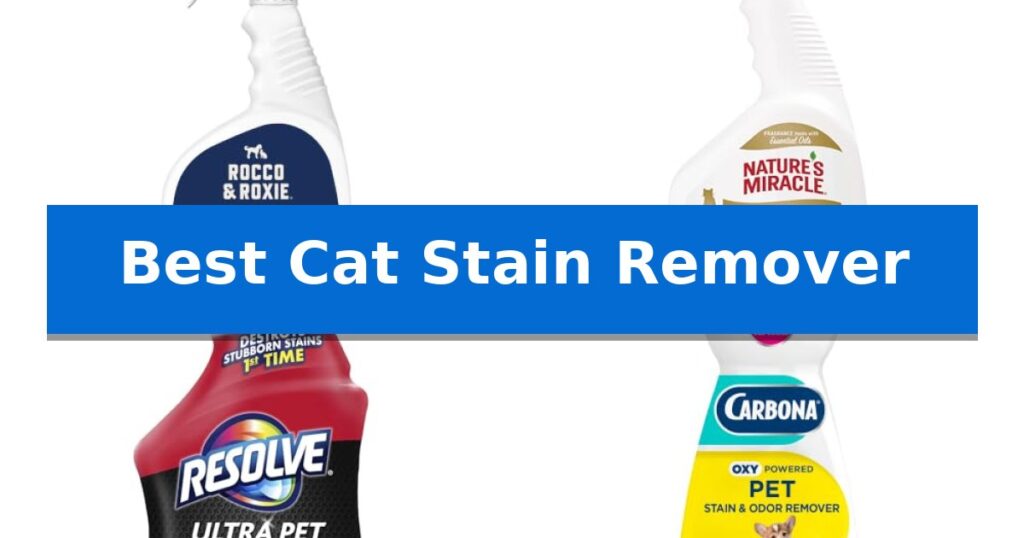 Best Cat Stain Remover