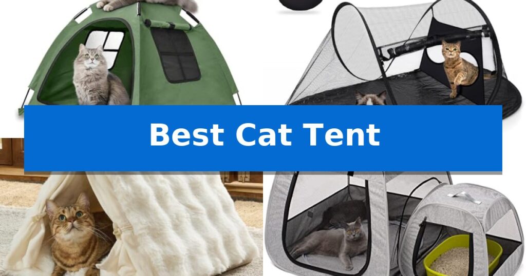 Best Cat Tent