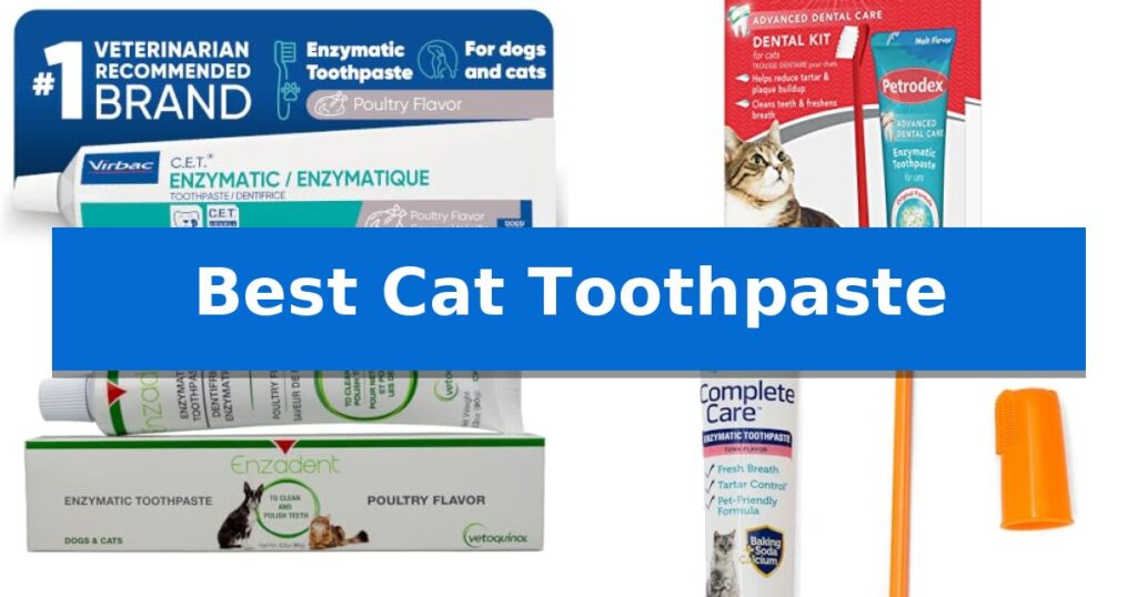Best Cat Toothpaste