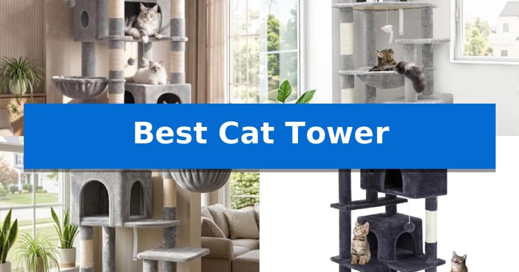 Best Cat Tower