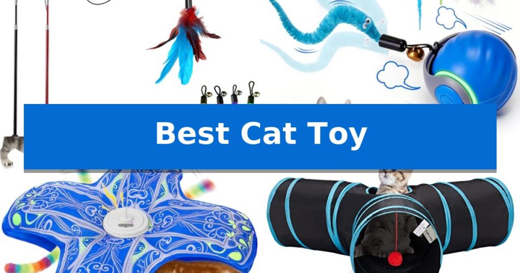 Best Cat Toy