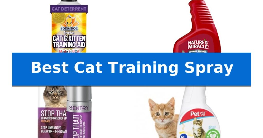 Best Cat Training Spray