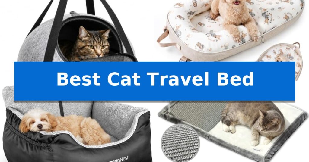 Best Cat Travel Bed