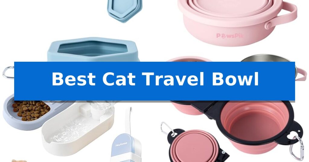 Best Cat Travel Bowl