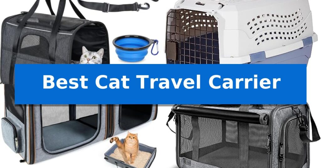 Best Cat Travel Carrier