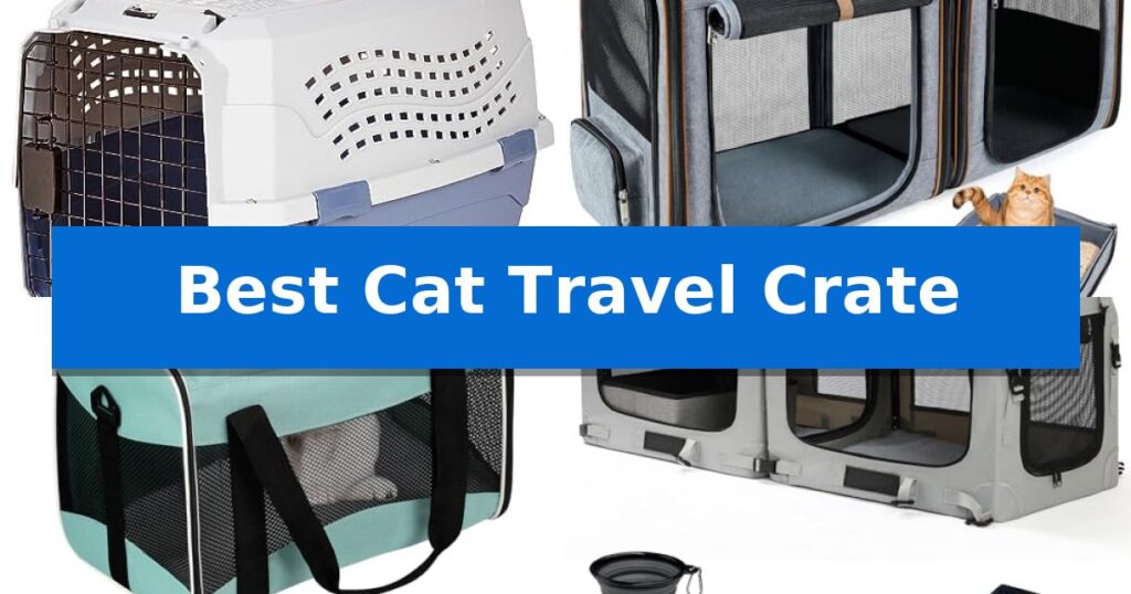Best Cat Travel Crate