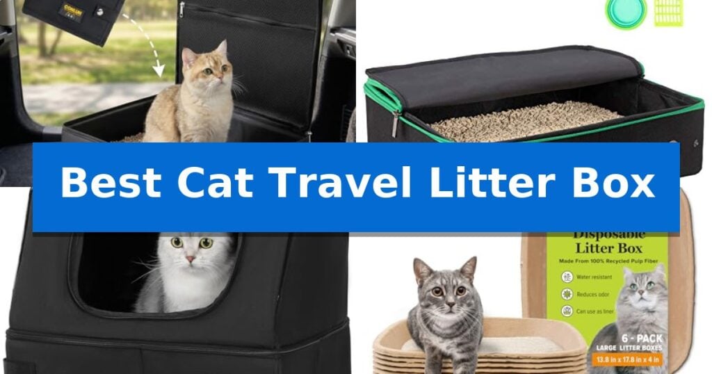 Best Cat Travel Litter Box