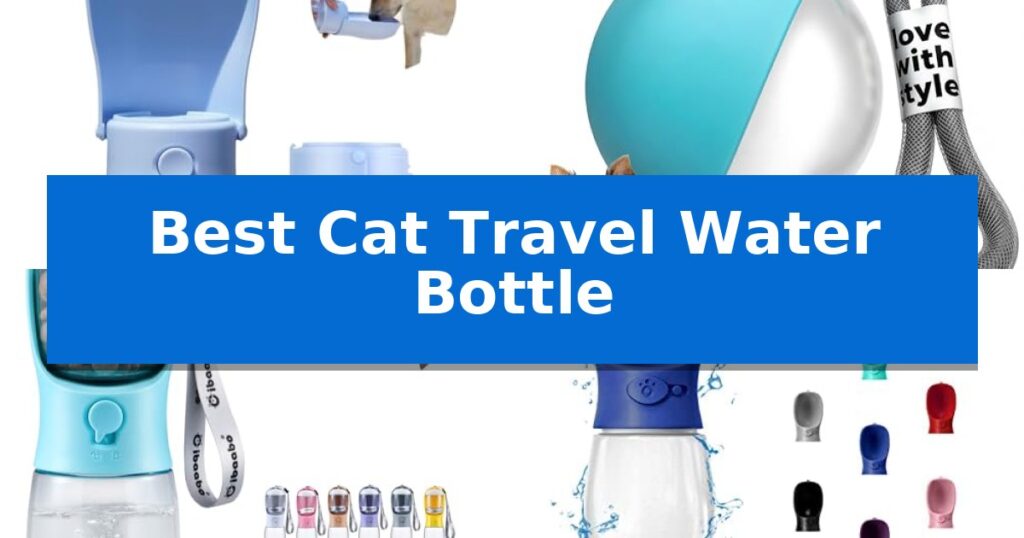 Best Cat Travel Water Bottle
