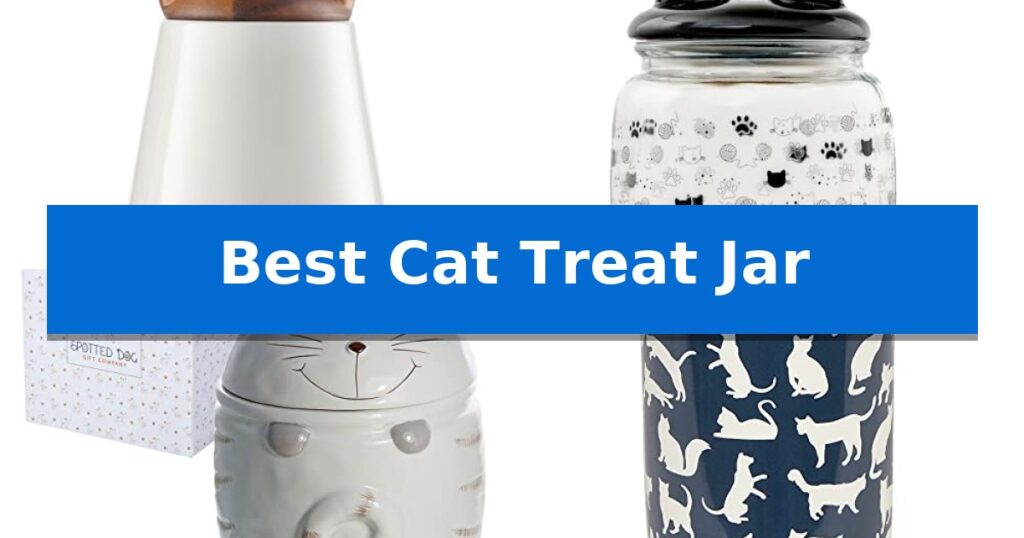 Best Cat Treat Jar