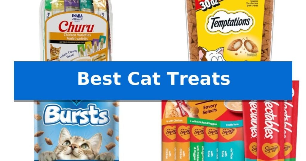 Best Cat Treats