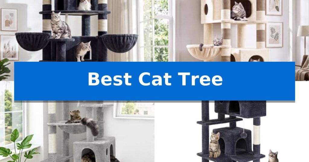 Best Cat Tree