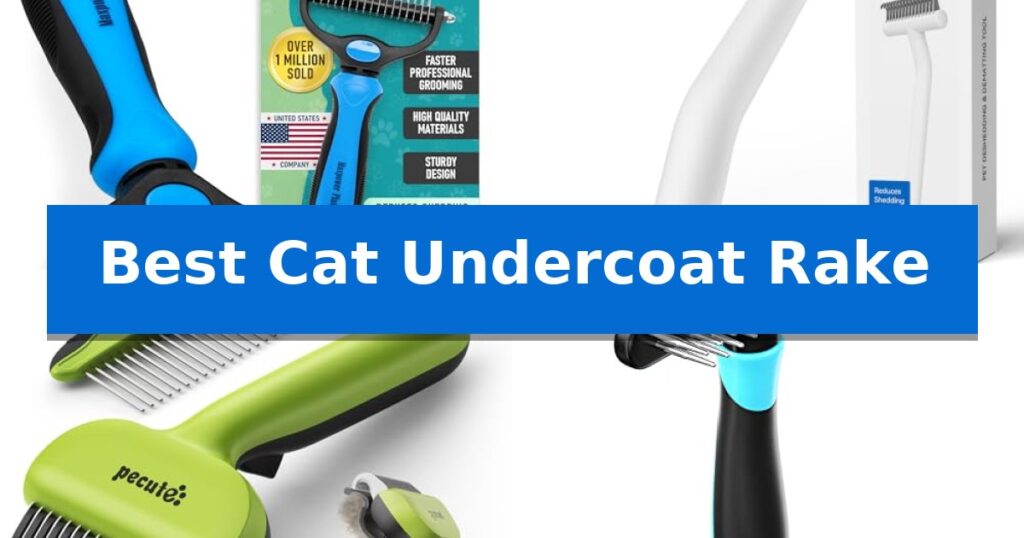 Best Cat Undercoat Rake
