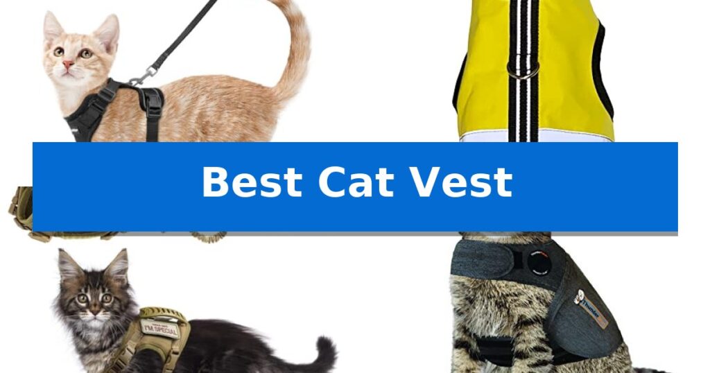Best Cat Vest