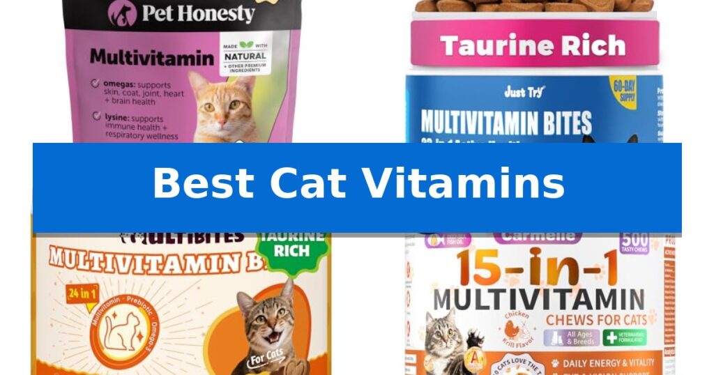 Best Cat Vitamins