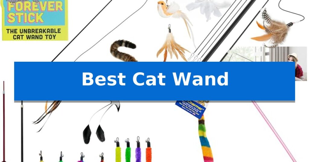 Best Cat Wand