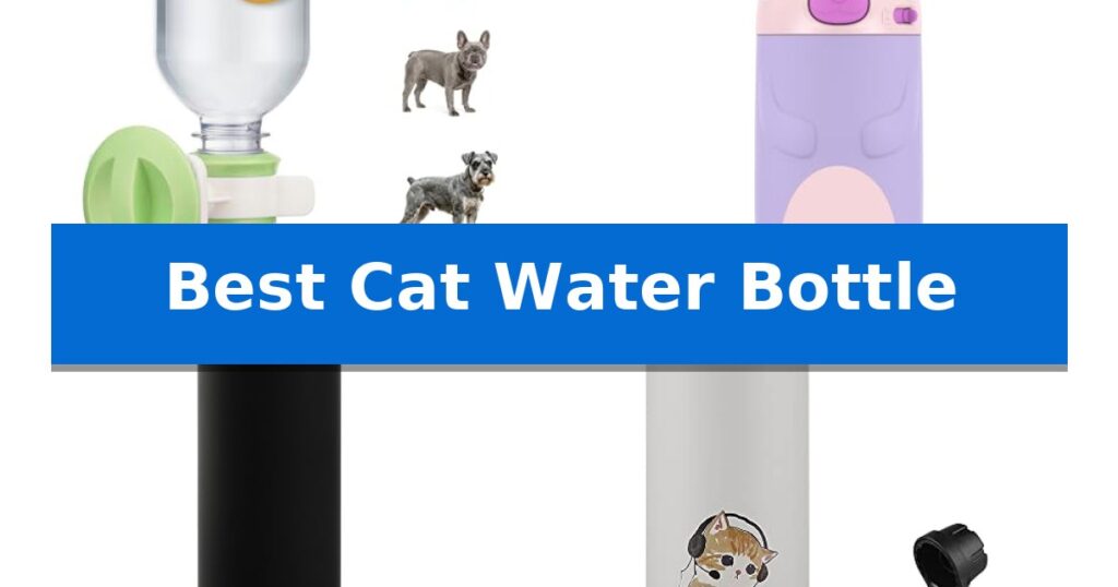 Best Cat Water Bottle