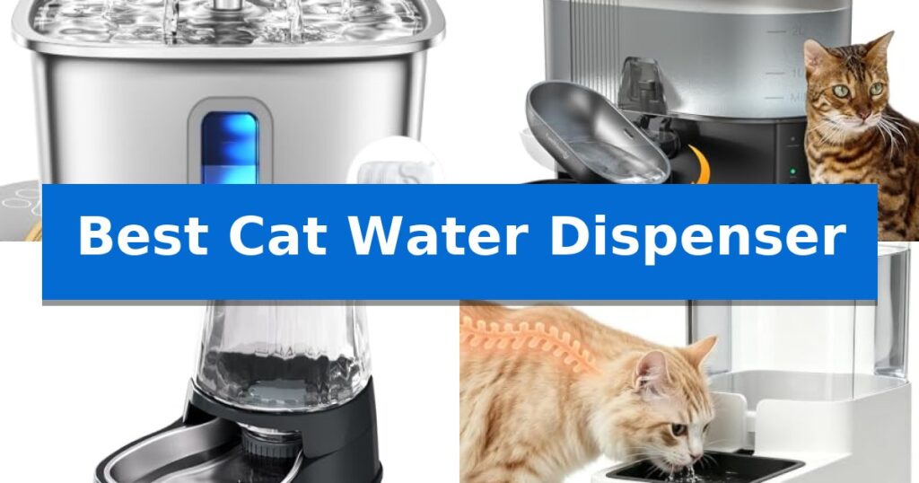 Best Cat Water Dispenser